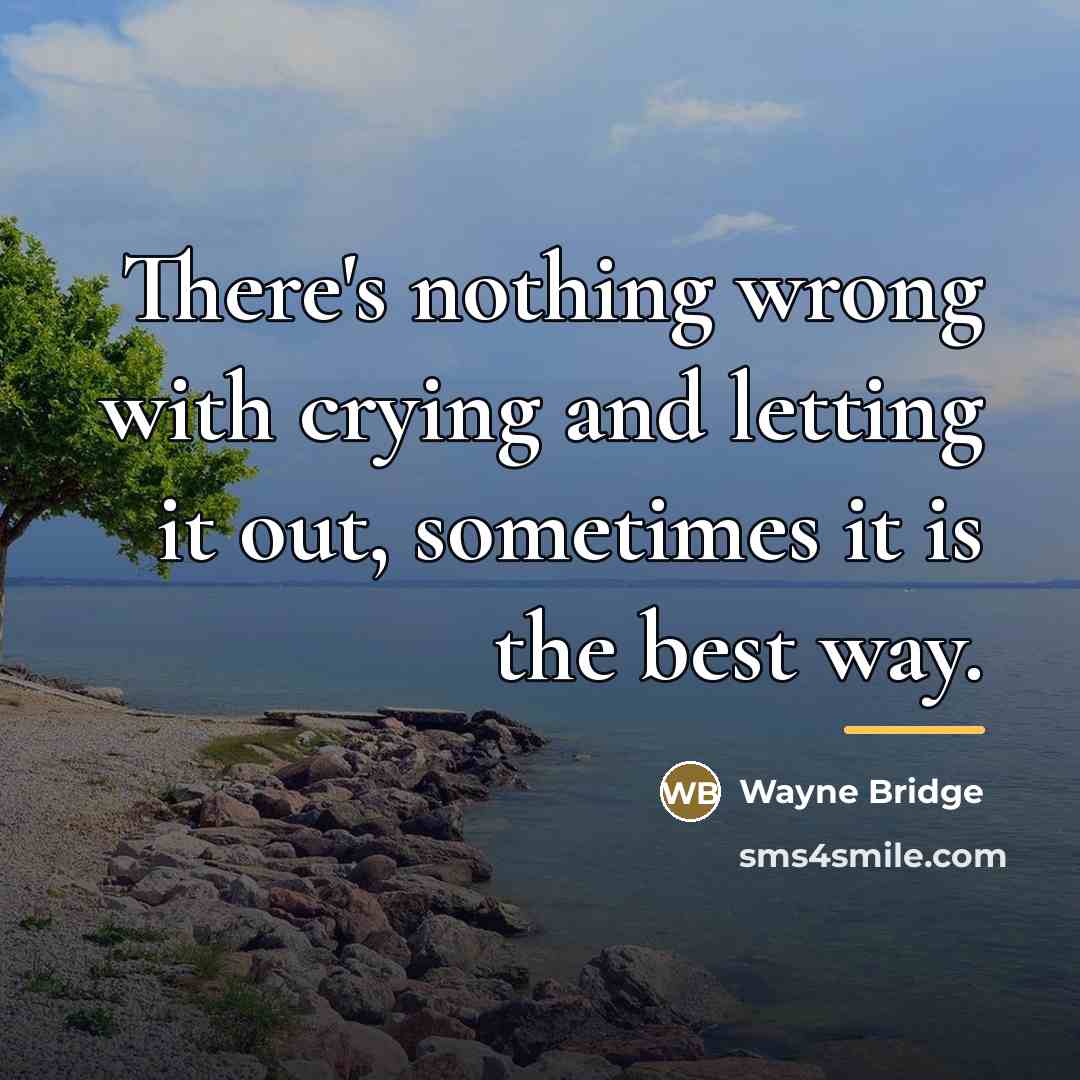 “There's nothing wrong with crying and letting it out, sometimes…” quote by Wayne Bridge