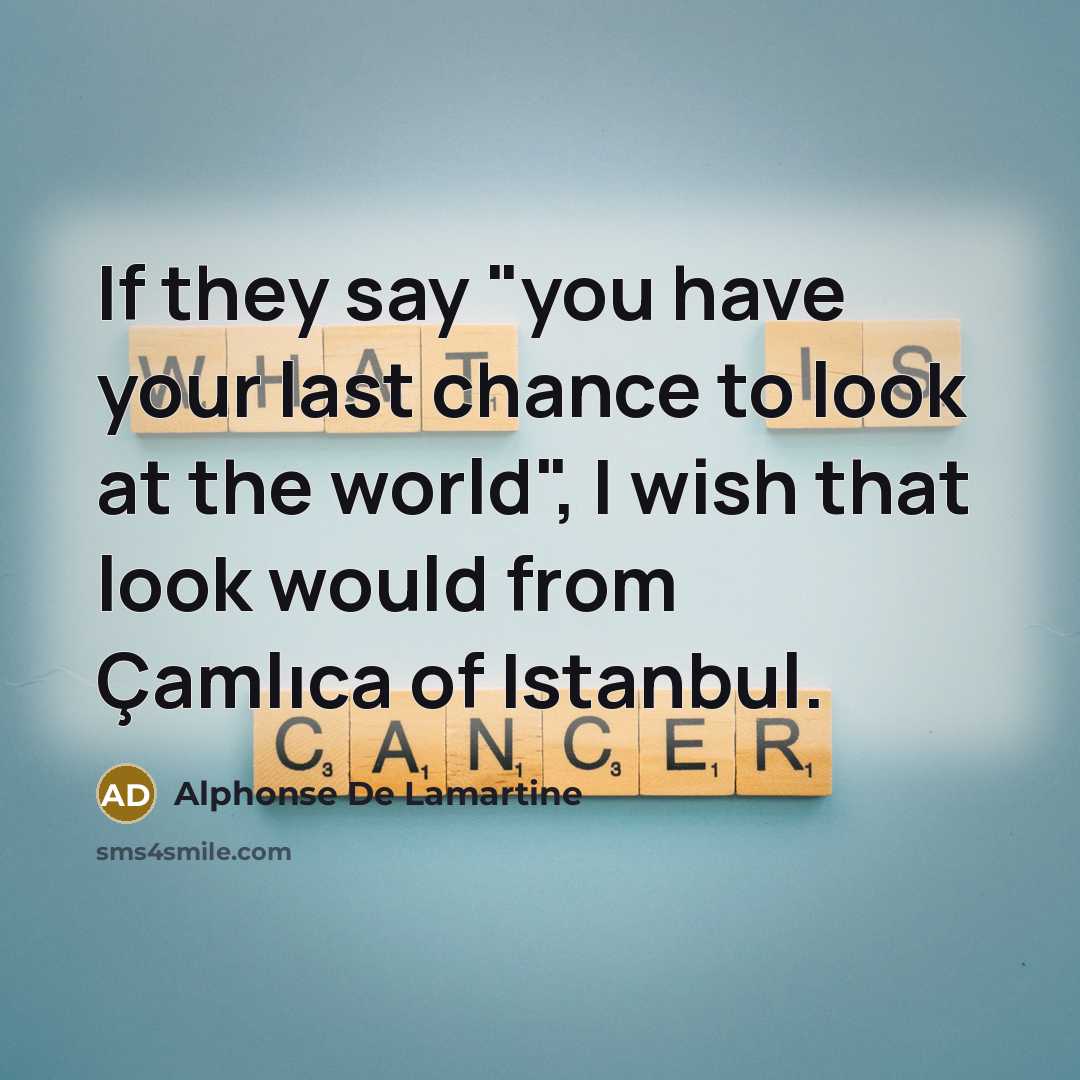 “If they say "you have your last chance to look…” quote by Alphonse de Lamartine