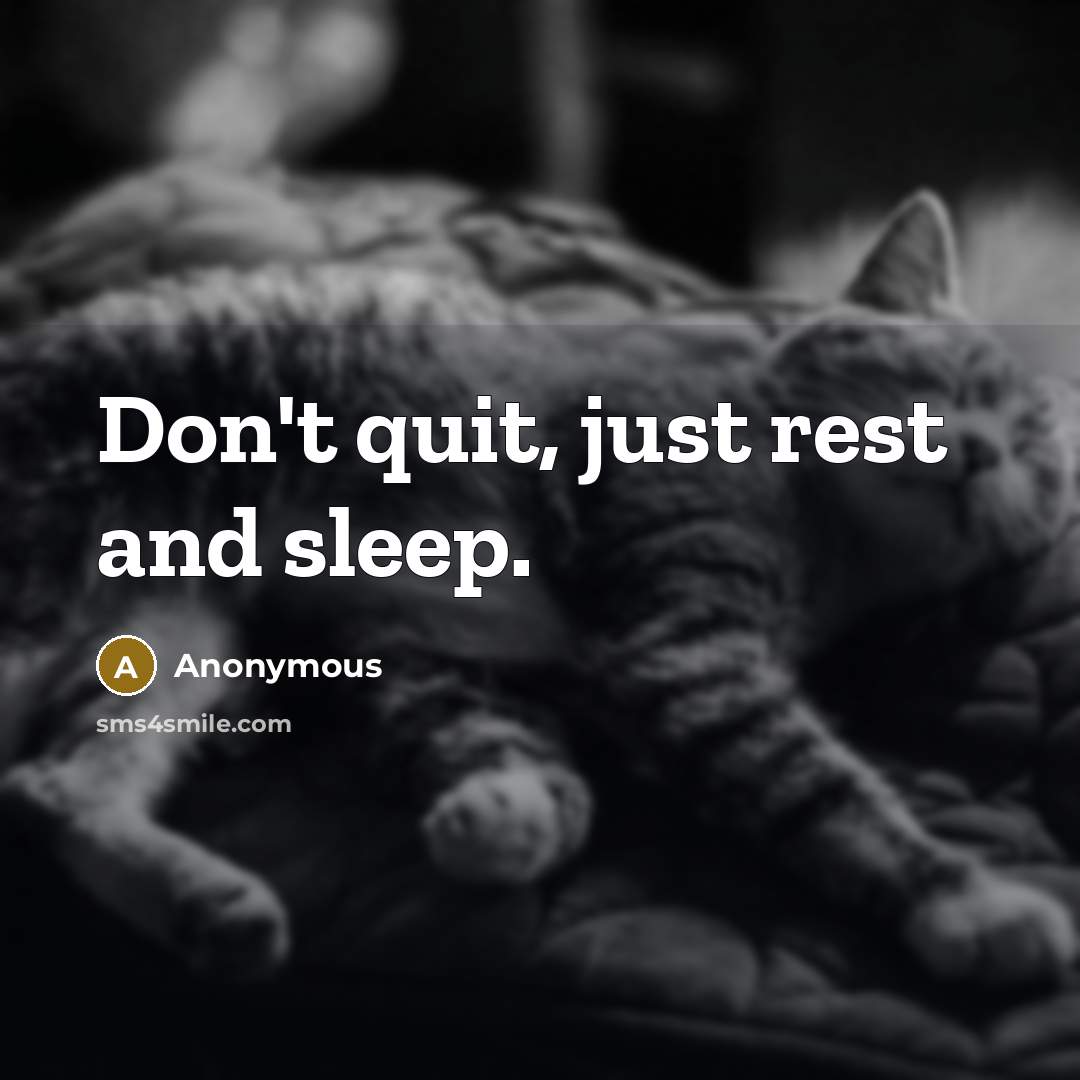 “Don't quit, just rest and sleep.…” quote by Anonymous