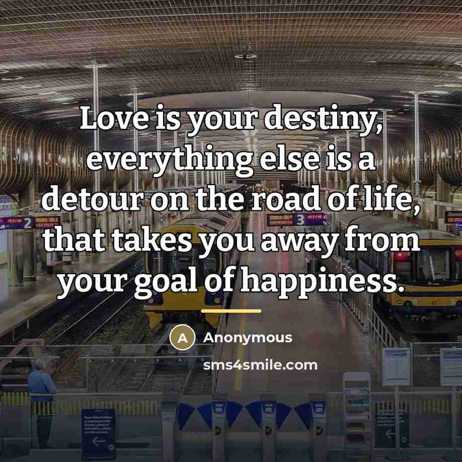 “Love is your destiny, everything else is a detour on…” quote by Anonymous