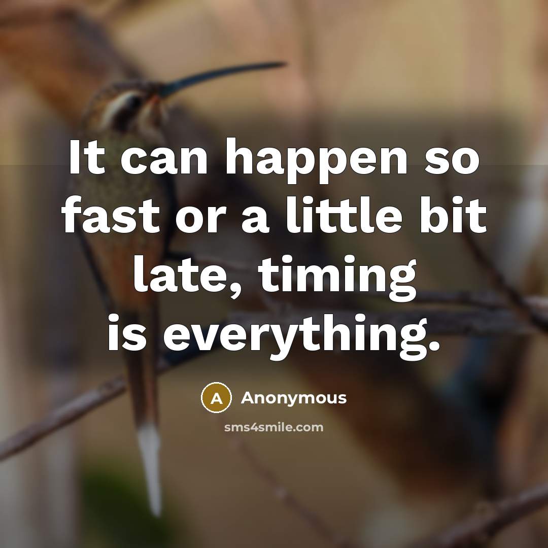 “It can happen so fast or a little bit late, timing is everything.” quote by Anonymous