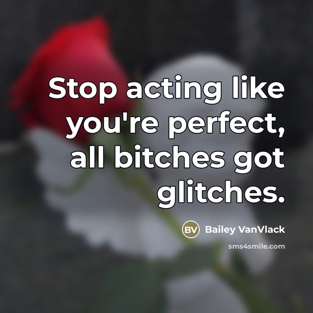 “Stop acting like you're perfect, all bitches got glitches.” quote by Bailey VanVlack