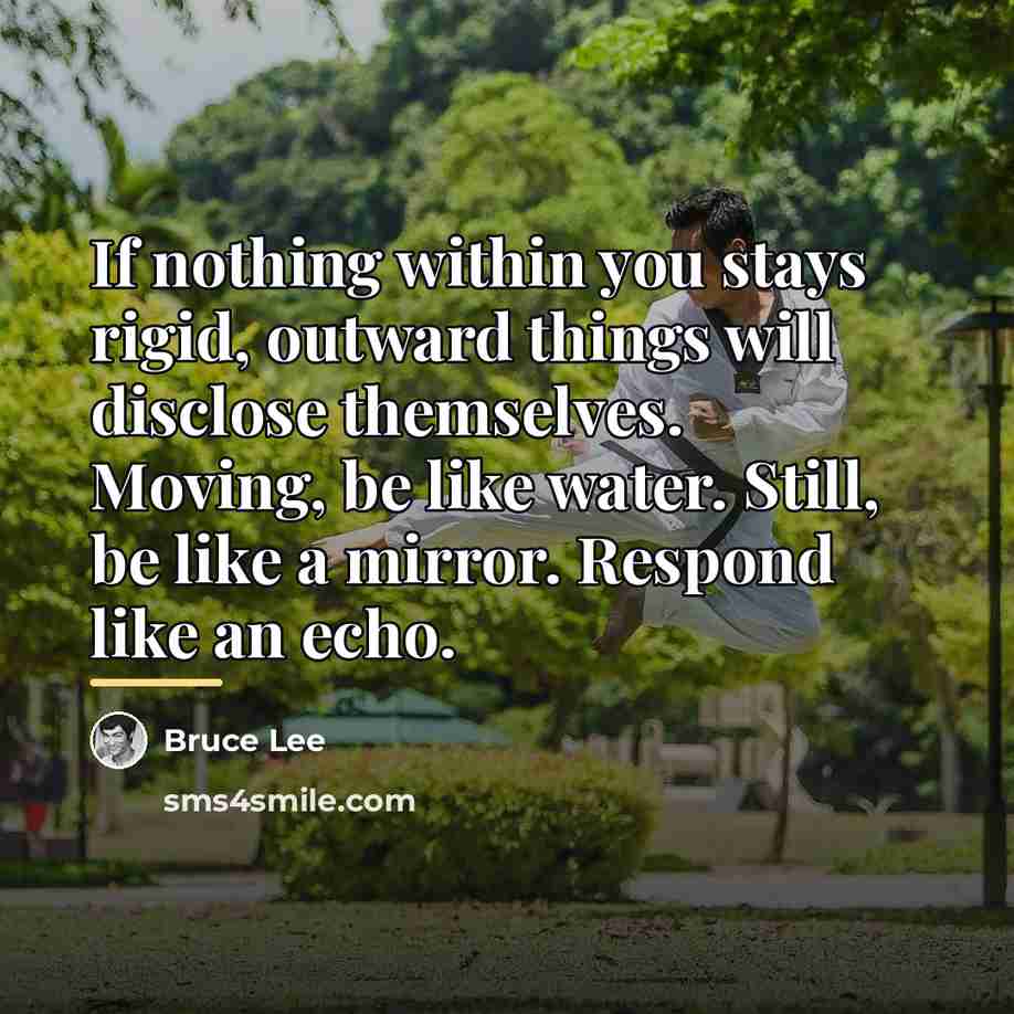 “If nothing within you stays rigid, outward things will disclose…” quote by Bruce Lee