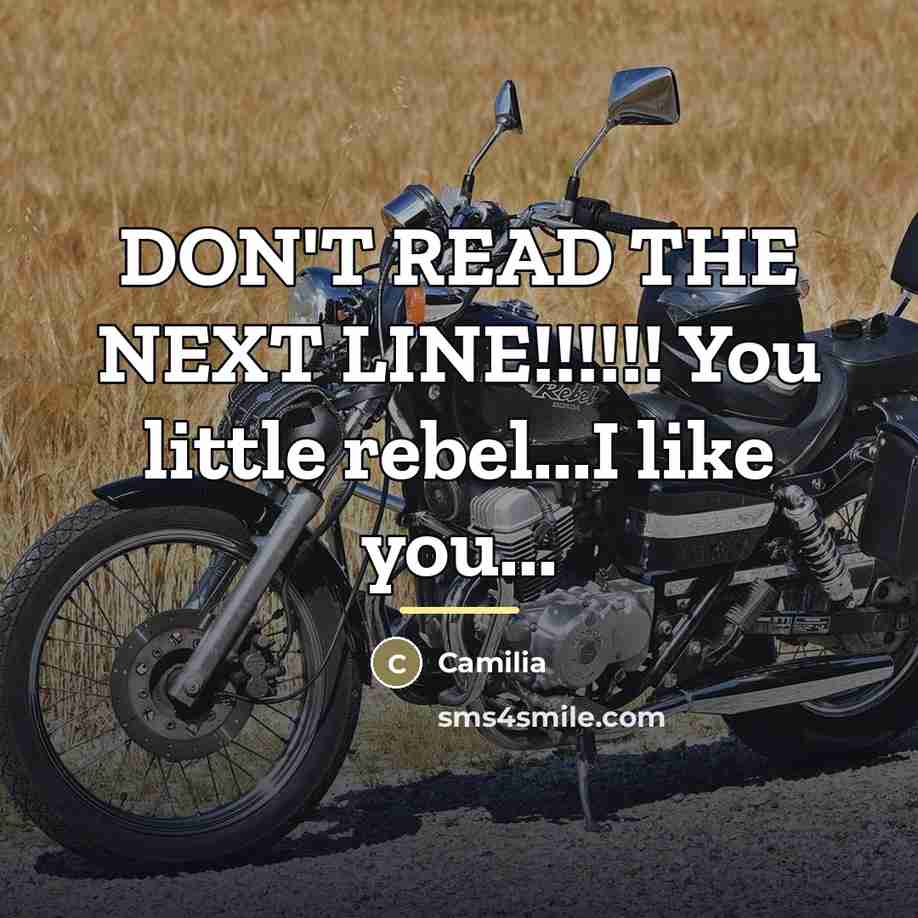 “DON'T READ THE NEXT LINE!!!!!! You little rebel...I like you...…” quote by Camilia