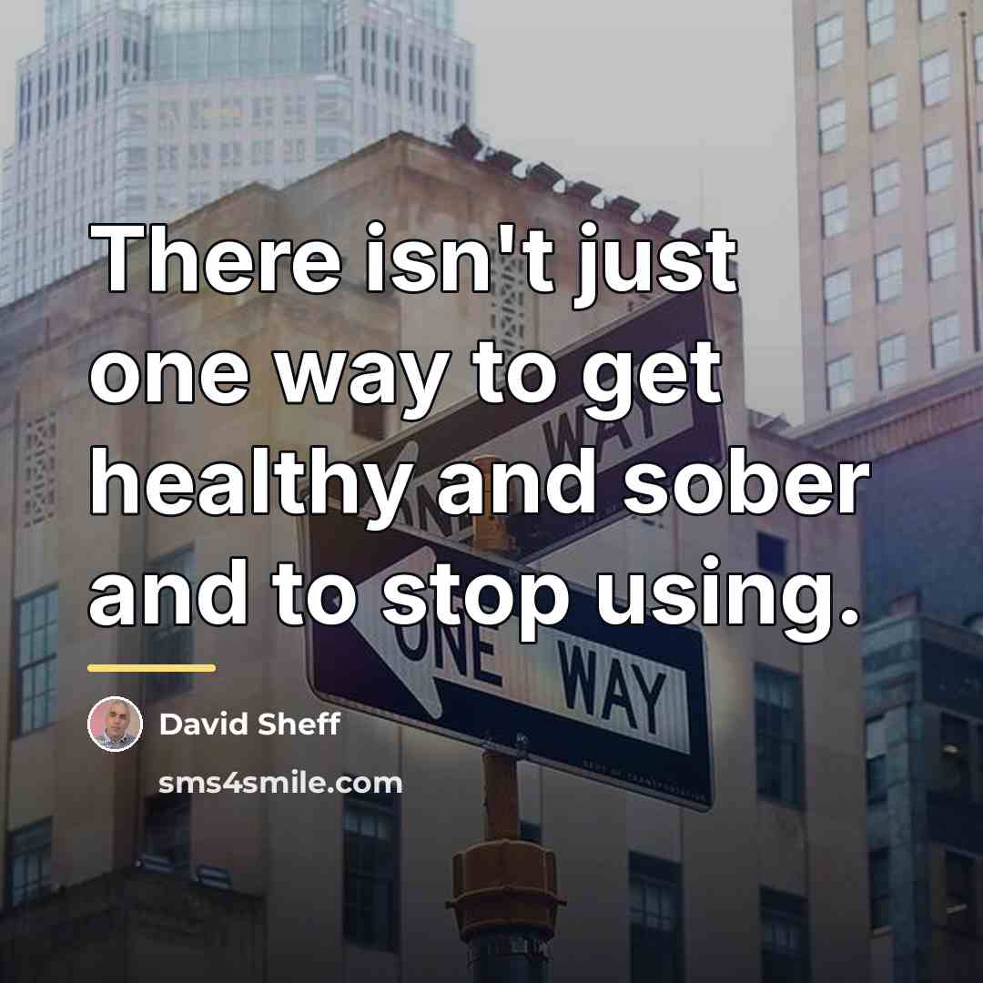 “There isn't just one way to get healthy and sober…” quote by David Sheff