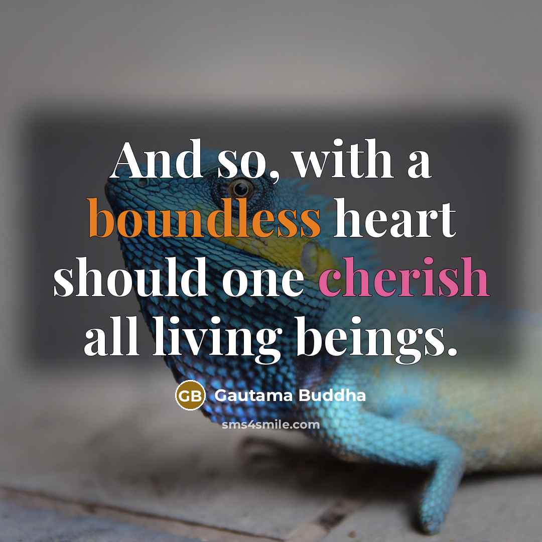 “And so, with a boundless heart should one cherish all…” quote by Gautama Buddha