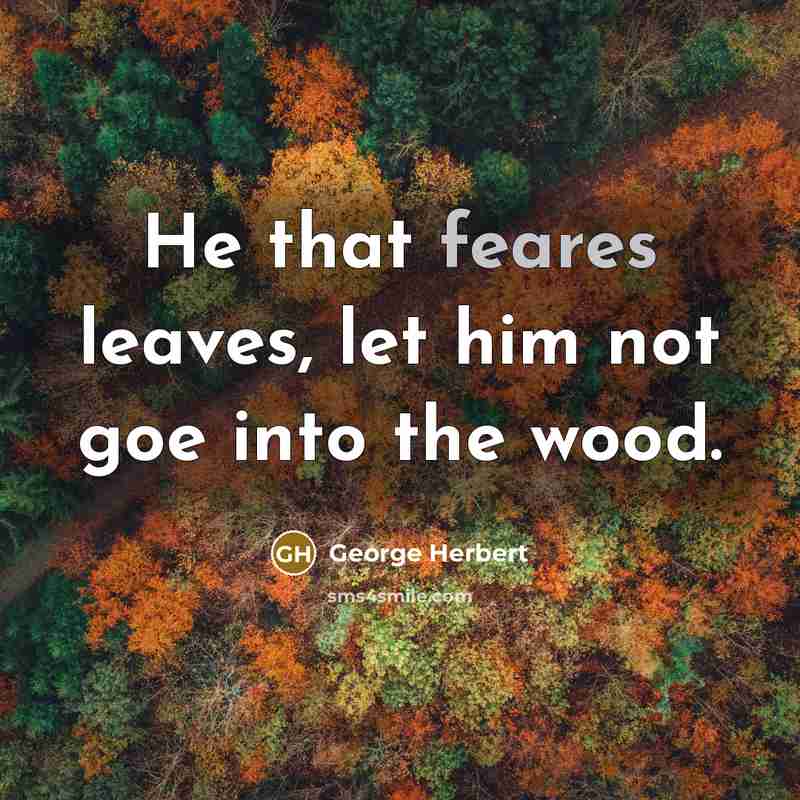 “He that feares leaves, let him not goe into the wood.” quote by George Herbert