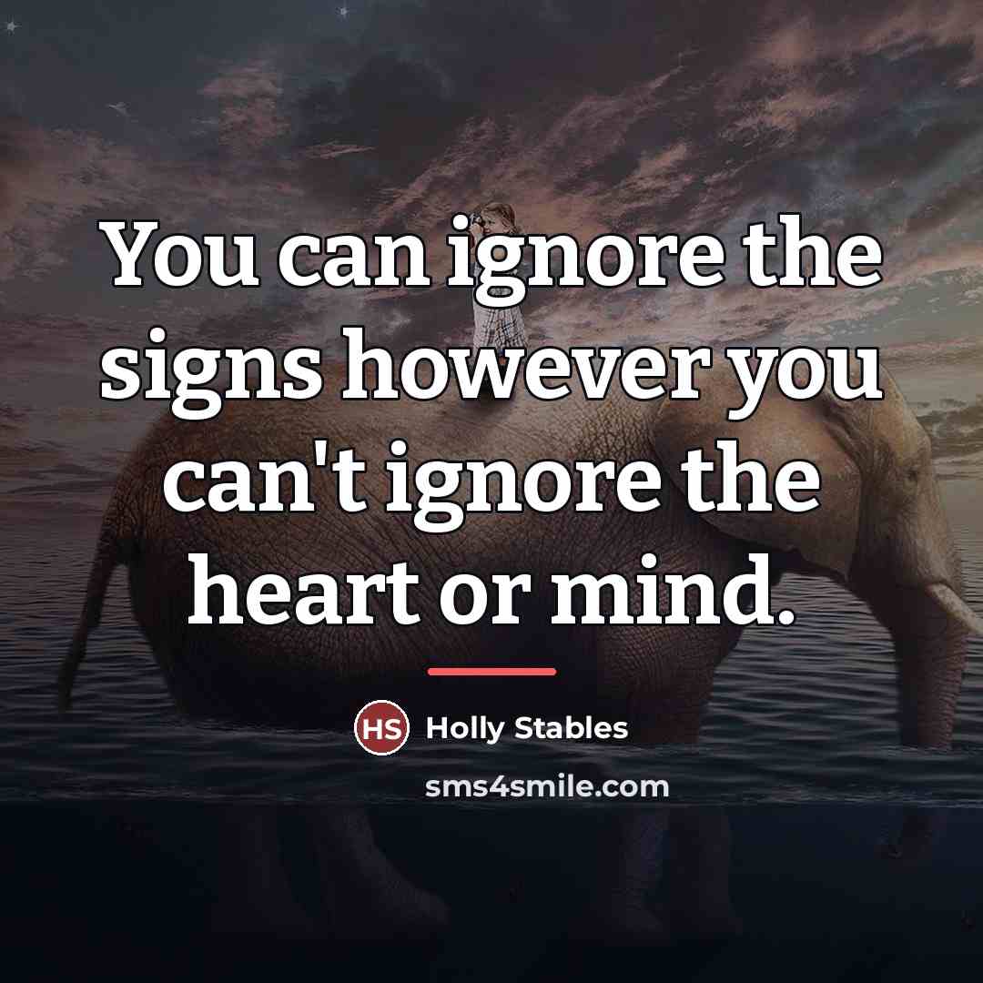 “You can ignore the signs however you can't ignore the…” quote by Holly Stables
