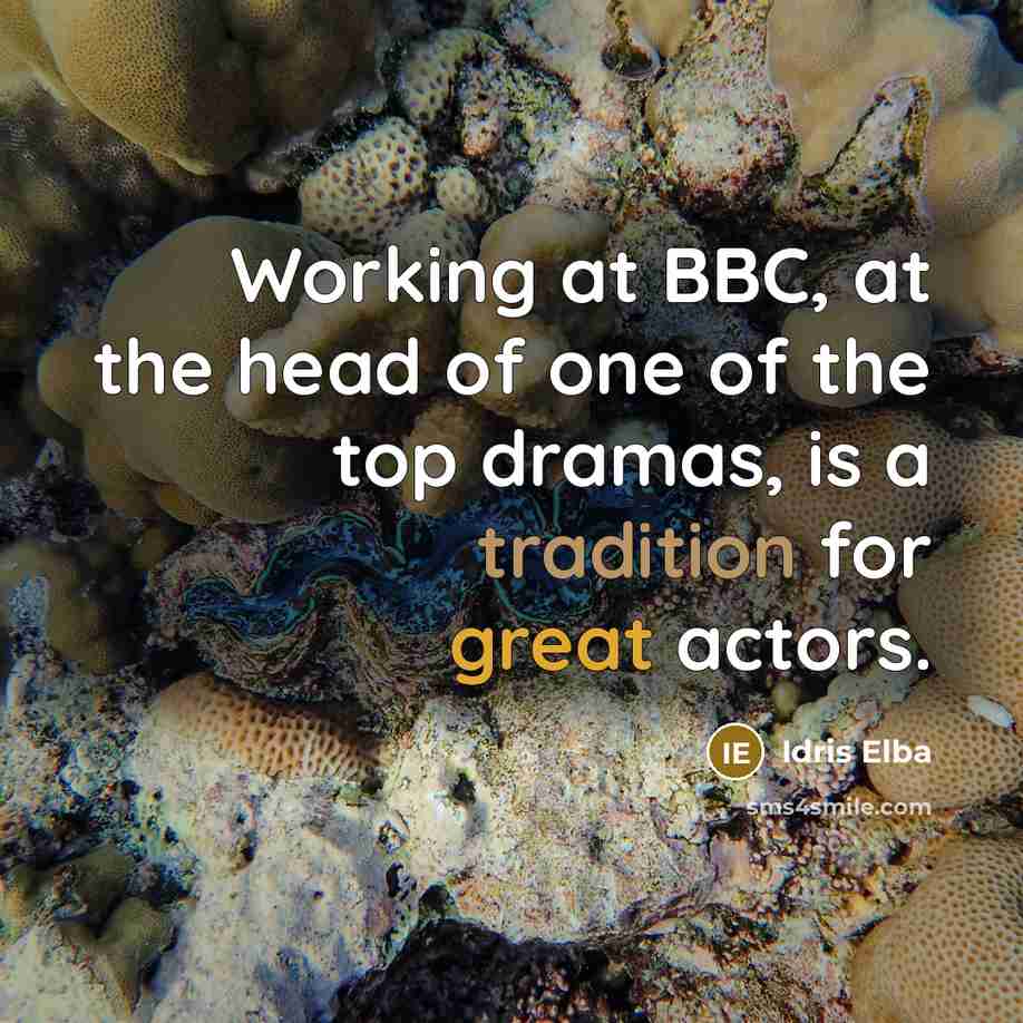 “Working at BBC, at the head of one of the…” quote by Idris Elba
