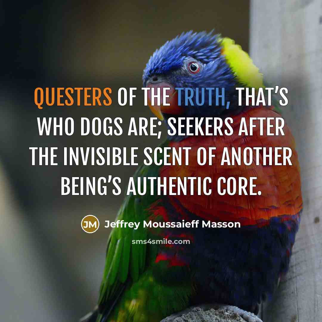 “Questers of the truth, that’s who dogs are; seekers after…” quote by Jeffrey Moussaieff Masson