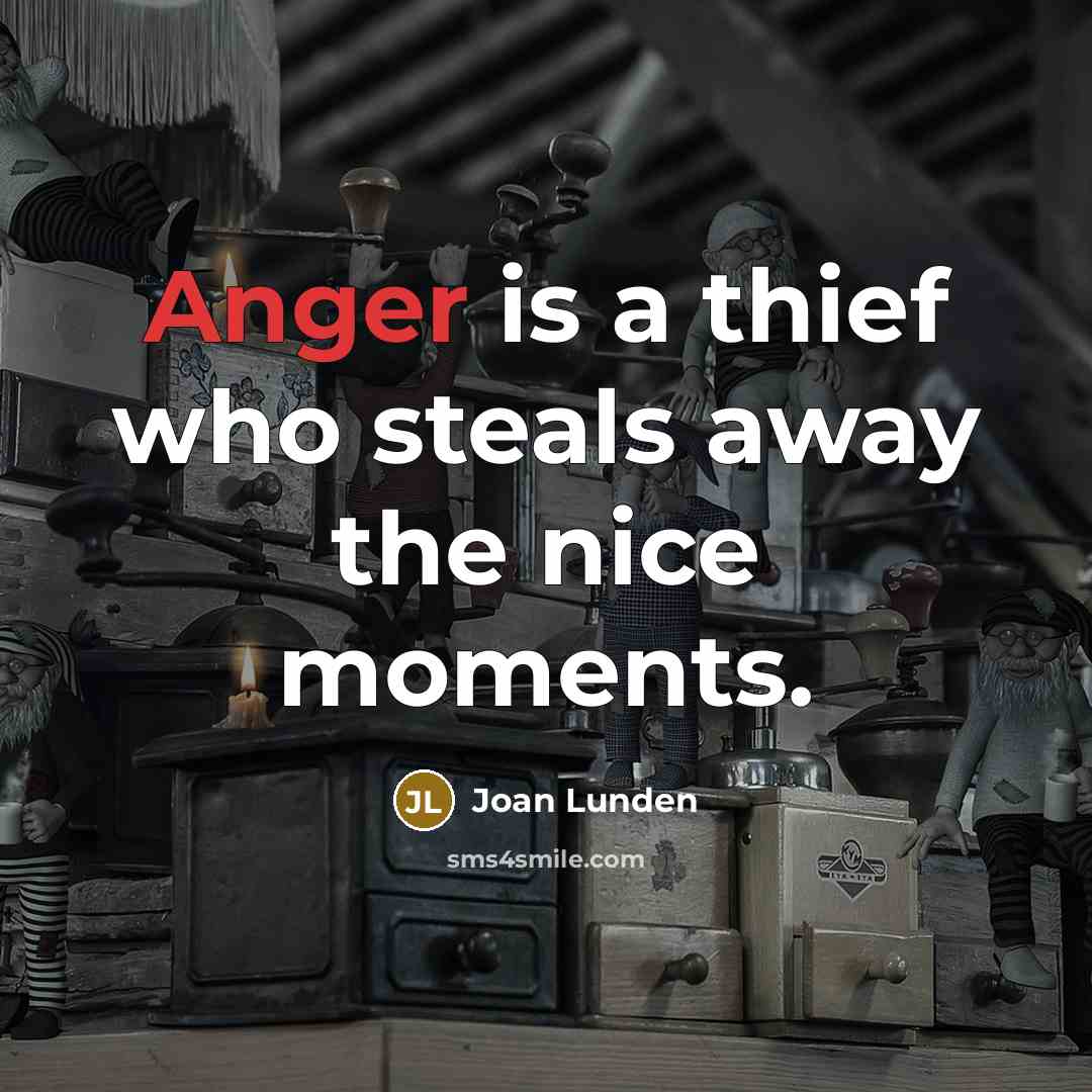 “Anger is a thief who steals away the nice moments.” quote by Joan Lunden