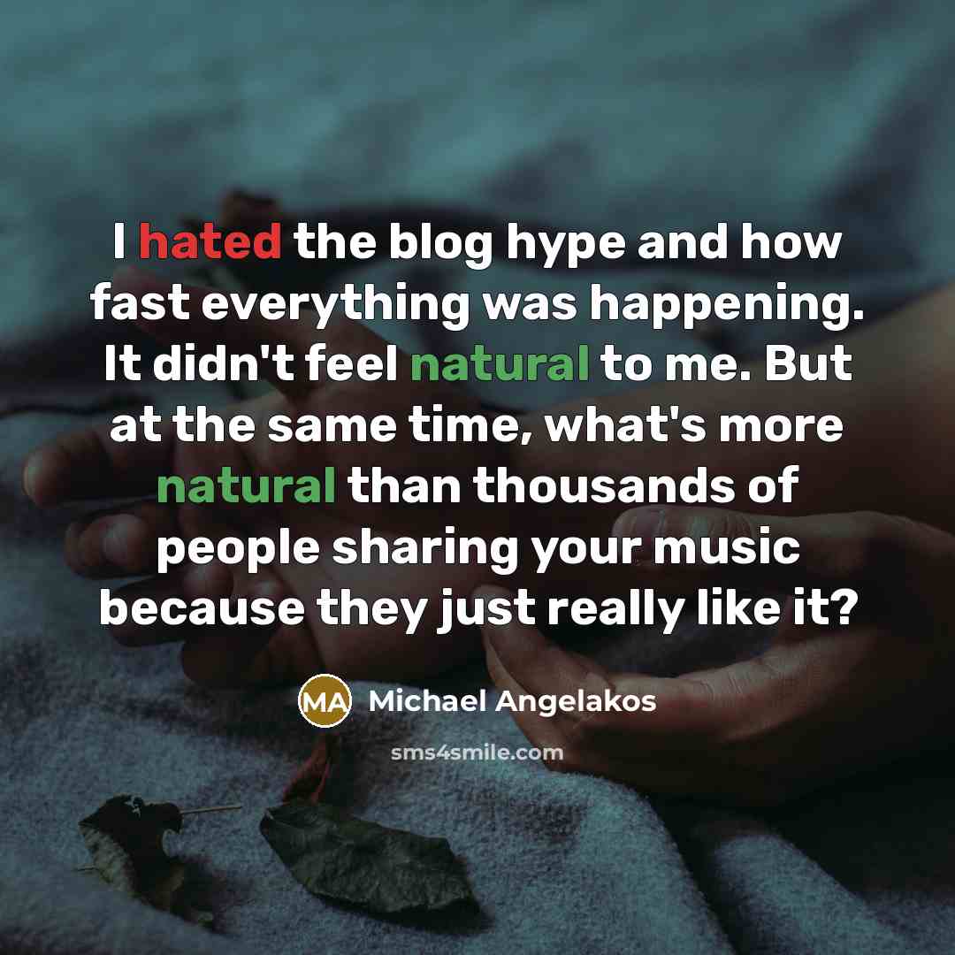 “I hated the blog hype and how fast everything was…” quote by Michael Angelakos