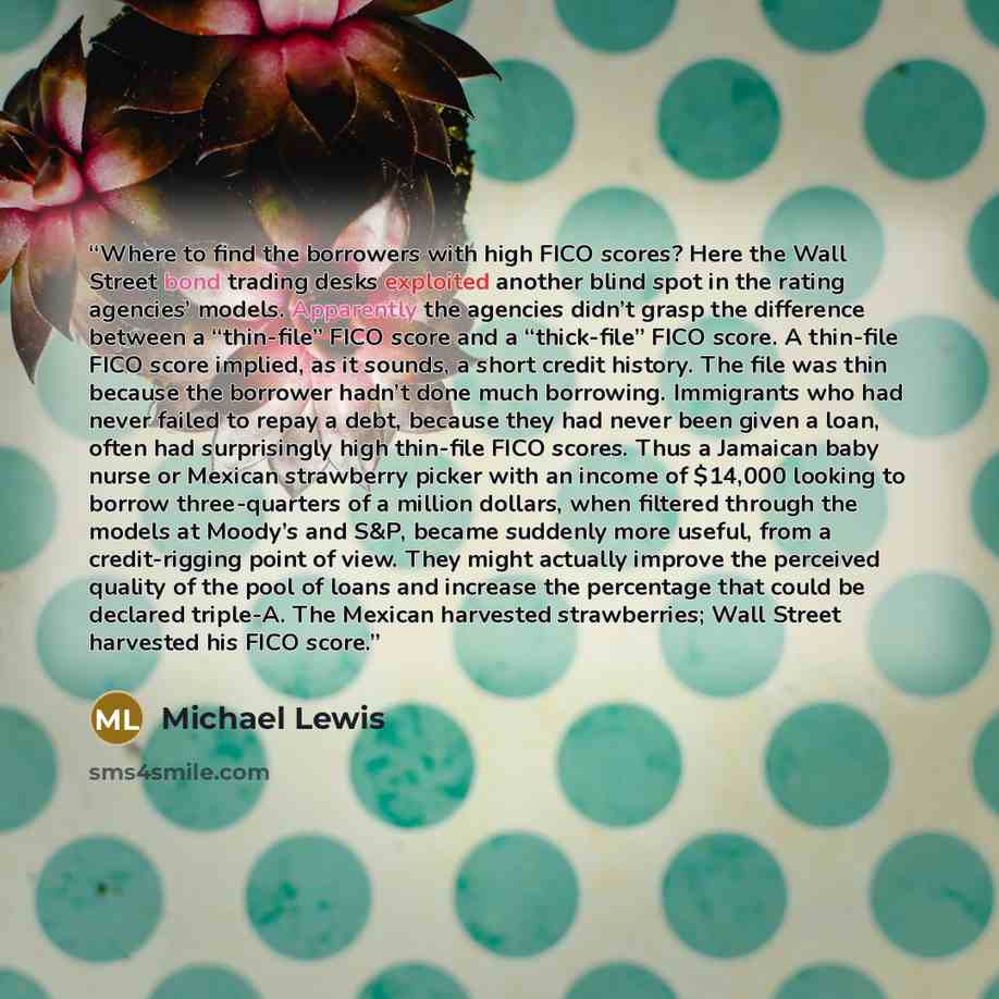 “Where to find the borrowers with high FICO scores? Here the Wall Street bond trading desks exploited another blind spot in the rating agencies’ models. Apparently the agencies didn’t grasp the difference between a “thin-file” FICO score and a “thick-file” FICO score. A thin-file FICO score…” quote by Michael Lewis