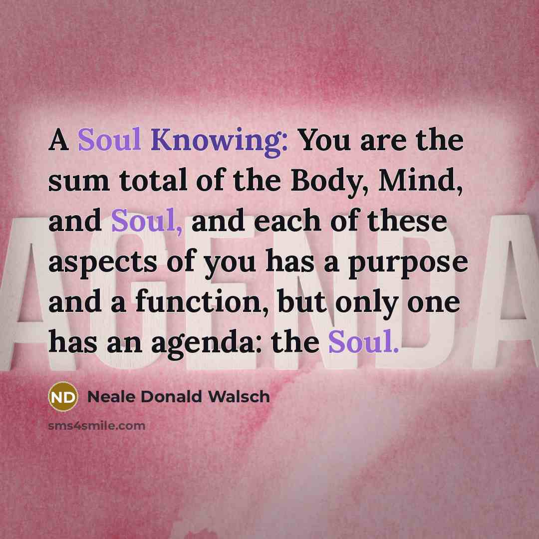 “A Soul Knowing: You are the sum total of the…” quote by Neale Donald Walsch