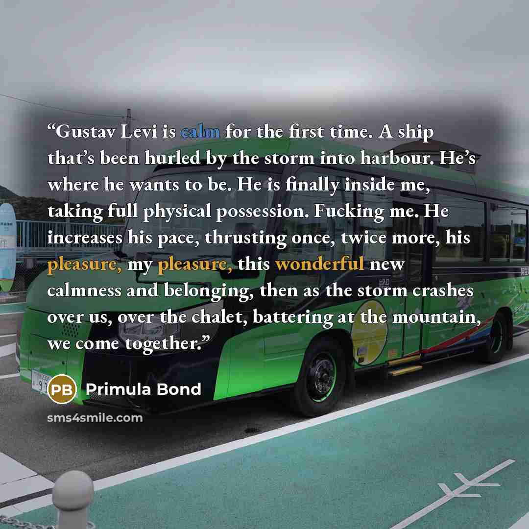 “Gustav Levi is calm for the first time. A ship that’s been hurled by the storm into harbour. He’s where he wants to be. He is finally inside me, taking full physical possession. Fucking me. He increases his pace, thrusting once, twice more, his pleasure, my pleasure, this wonderful new calmness…” quote by Primula Bond