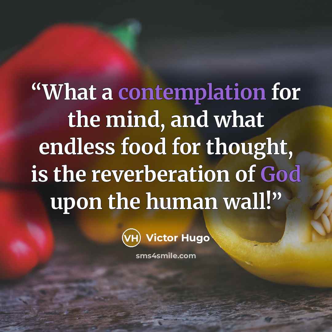 “What a contemplation for the mind, and what endless food for thought, is the reverberation of God upon the human wall!” quote by Victor Hugo