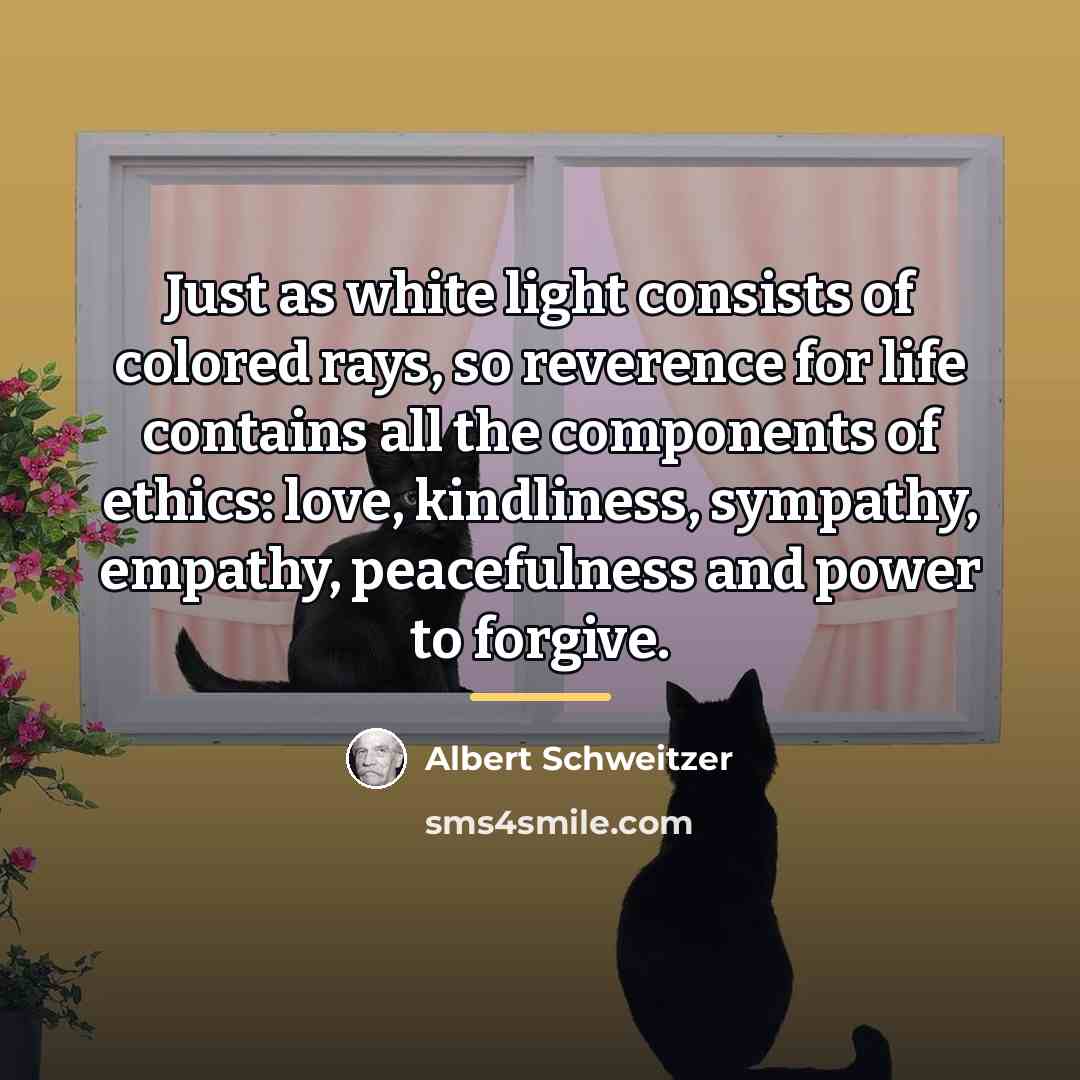 “Just as white light consists of colored rays, so reverence…” quote by Albert Schweitzer