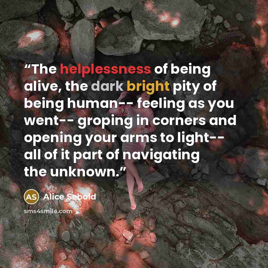 “The helplessness of being alive, the dark bright pity of being human-- feeling as you went-- groping in corners and opening your arms to light-- all of it part of navigating the unknown.” quote by Alice Sebold