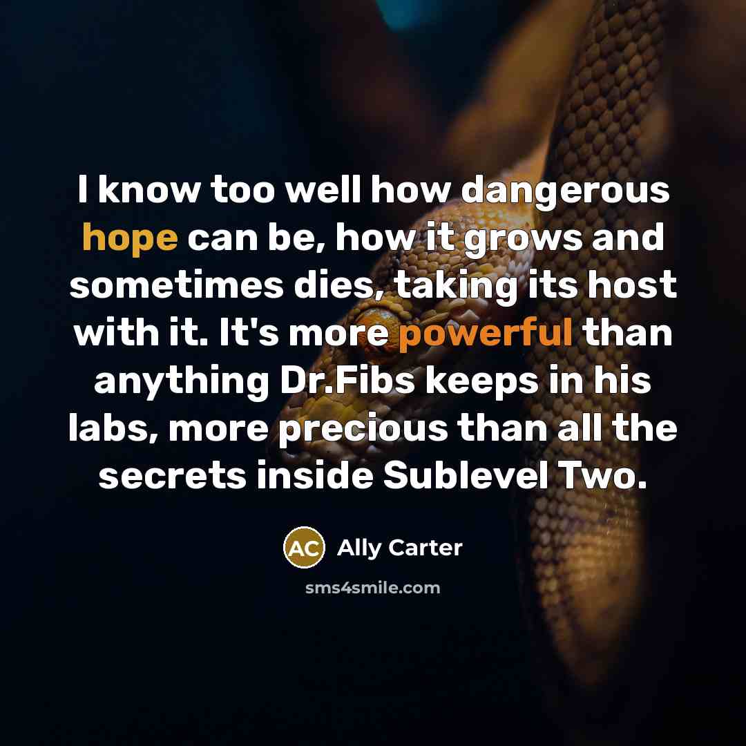 “I know too well how dangerous hope can be, how…” quote by Ally Carter