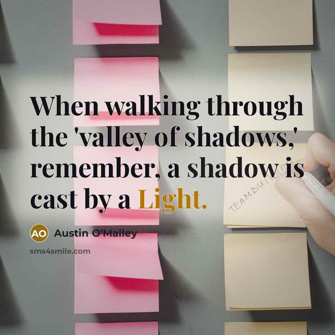 “When walking through the 'valley of shadows,' remember, a shadow…” quote by Austin O'Malley