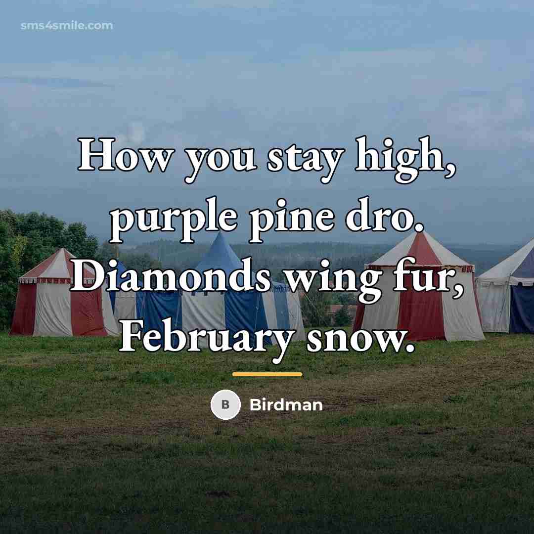 “How you stay high, purple pine dro. Diamonds wing fur,…” quote by Birdman