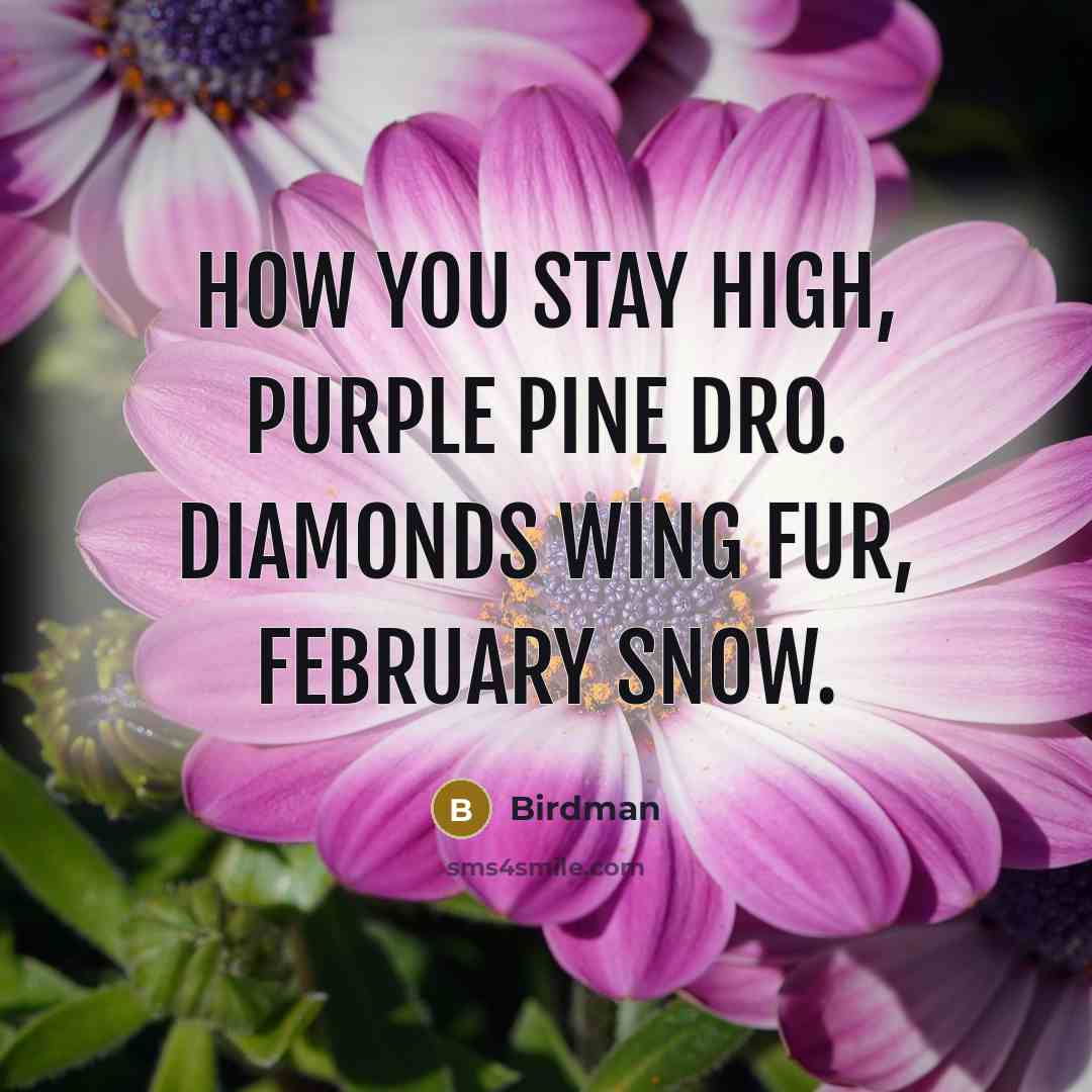 “How you stay high, purple pine dro. Diamonds wing fur, February snow.” quote by Birdman