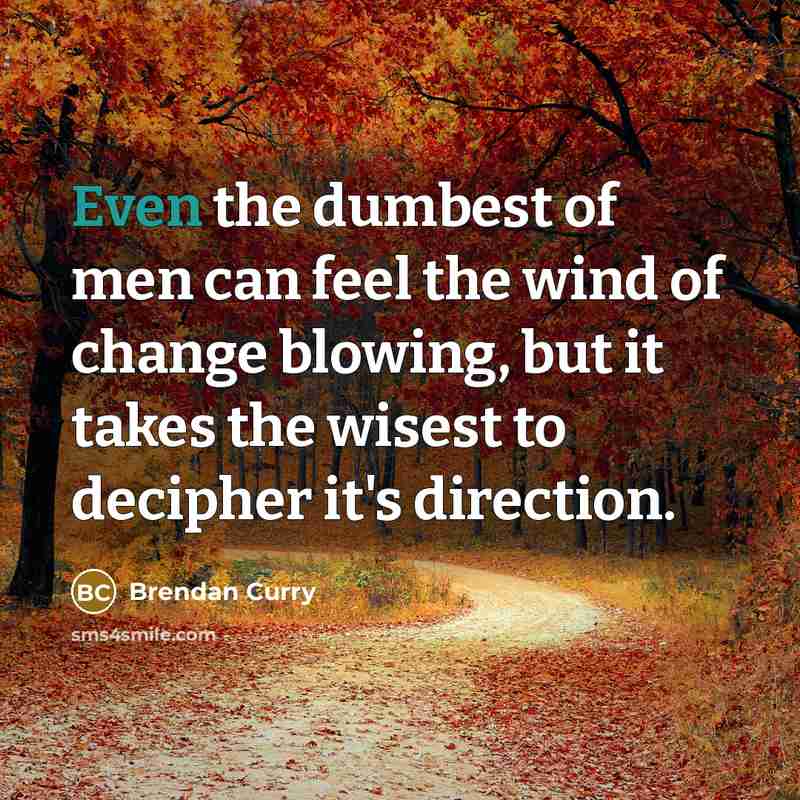 “Even the dumbest of men can feel the wind of change blowing, but it takes the wisest to decipher it's direction.” quote by Brendan Curry