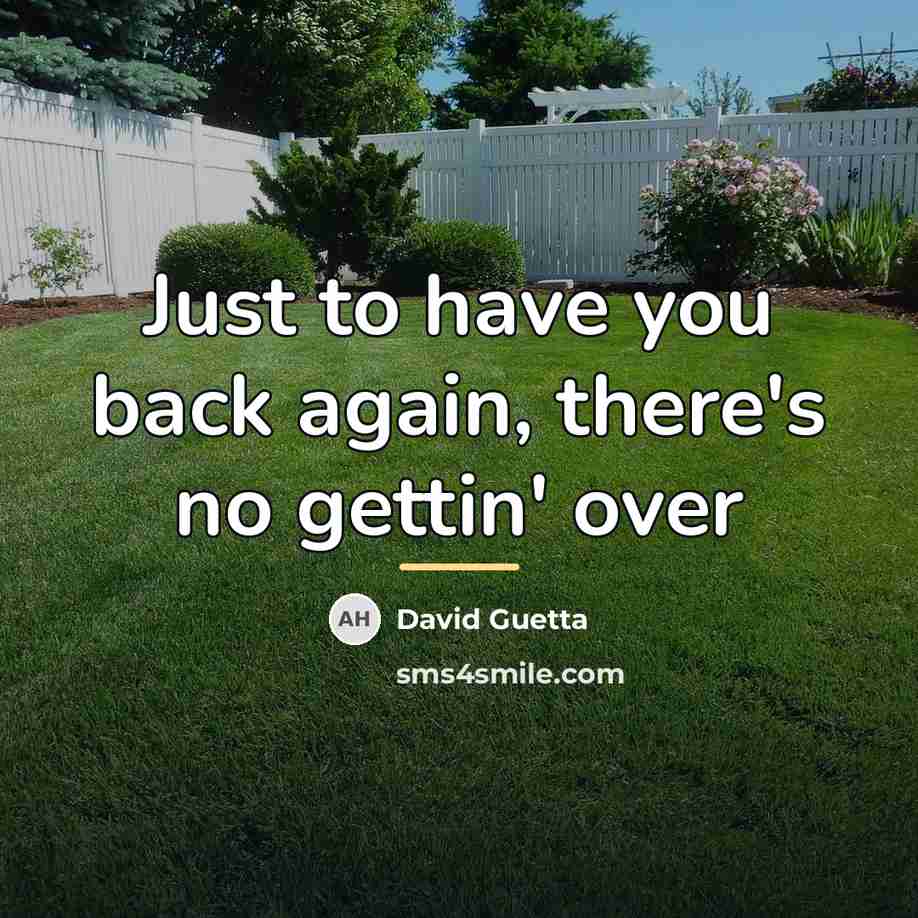 “Just to have you back again, there's no gettin' over…” quote by David Guetta