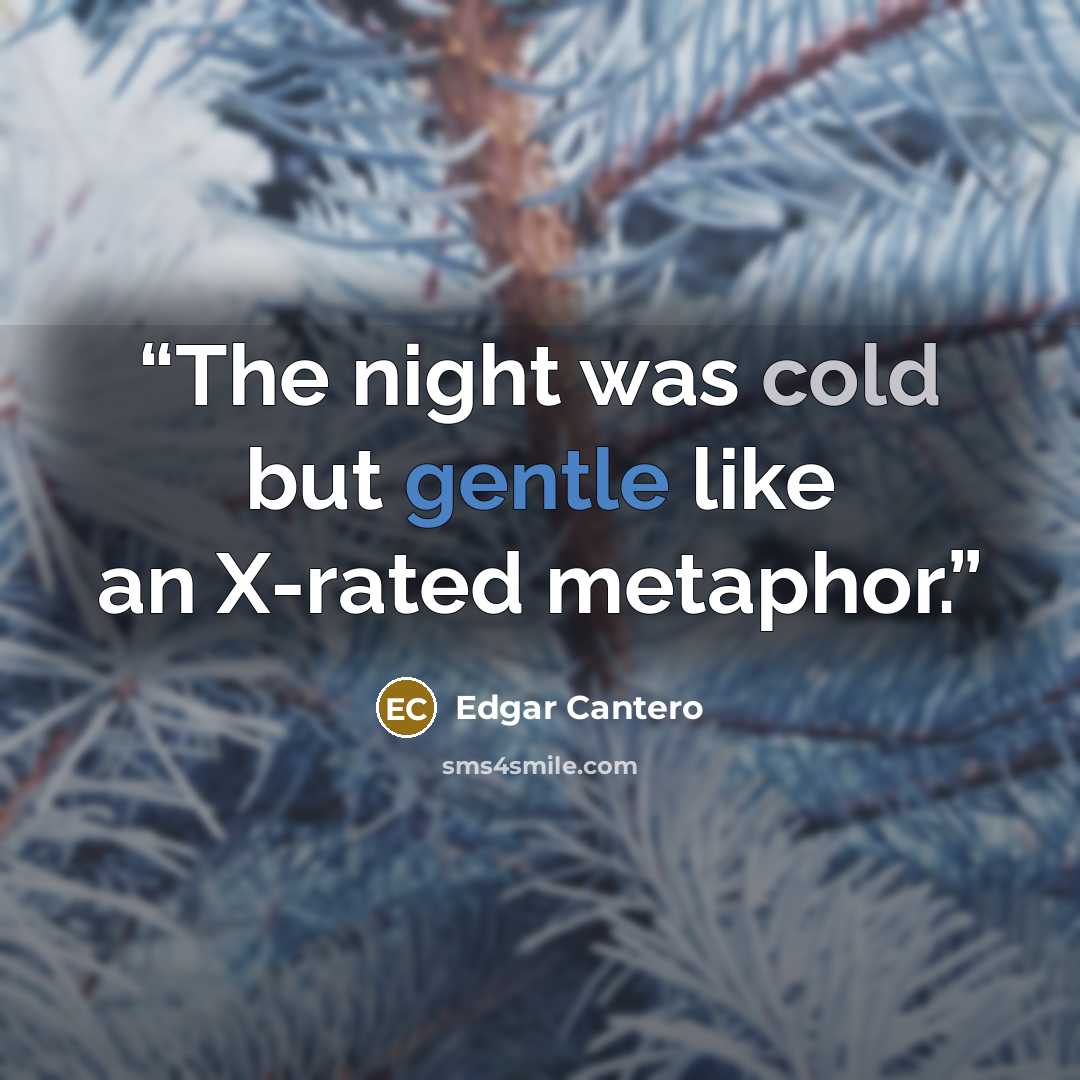 “The night was cold but gentle like an X-rated metaphor.” quote by Edgar Cantero