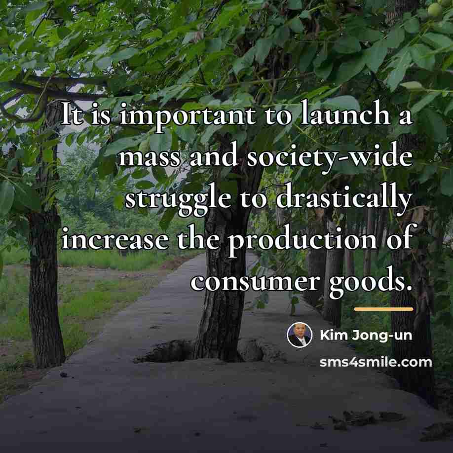 “It is important to launch a mass and society-wide struggle…” quote by Kim Jong-un