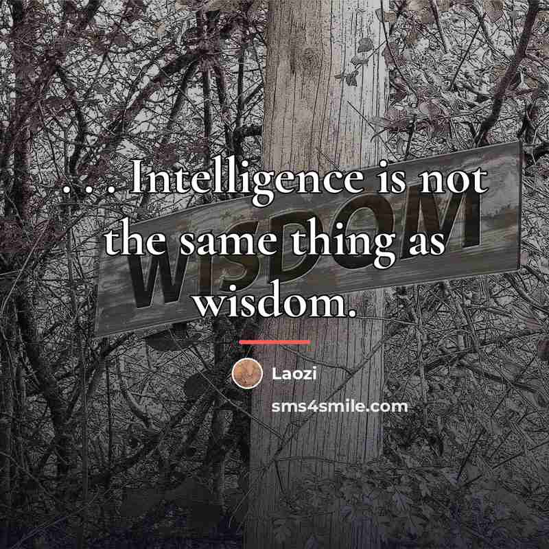 “. . . Intelligence is not the same thing as…” quote by Laozi