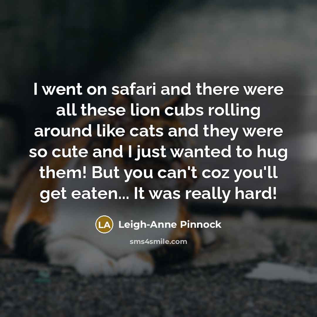 “I went on safari and there were all these lion…” quote by Leigh-Anne Pinnock