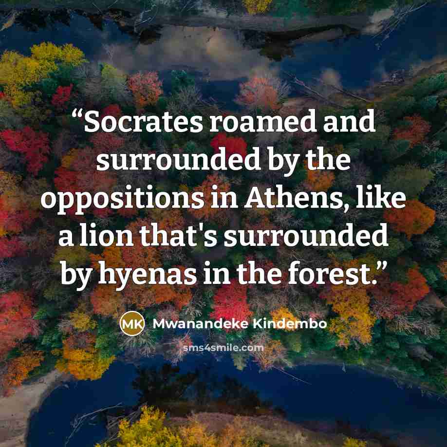 “Socrates roamed and surrounded by the oppositions in Athens, like a lion that's surrounded by hyenas in the forest.” quote by Mwanandeke Kindembo