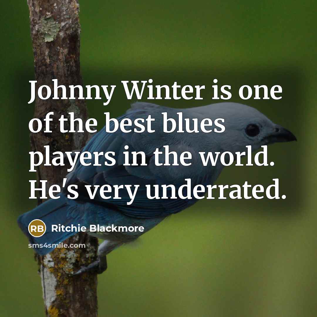 “Johnny Winter is one of the best blues players in the world. He's very underrated.” quote by Ritchie Blackmore