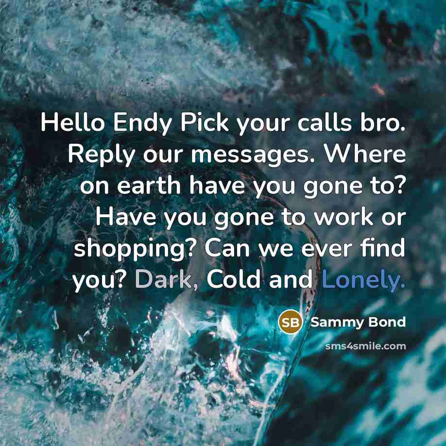 “Hello Endy Pick your calls bro. Reply our messages. Where…” quote by Sammy Bond