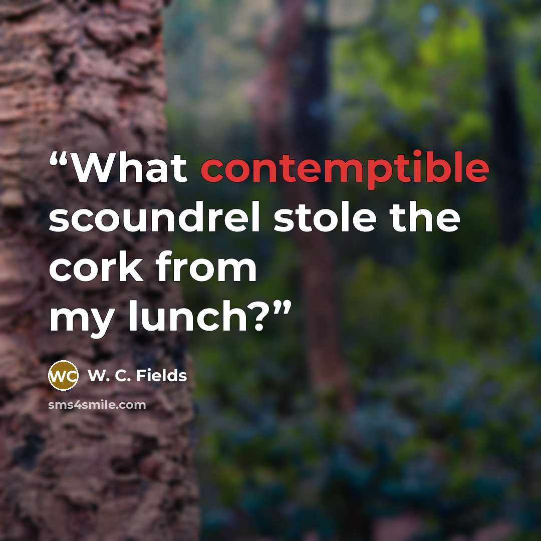 “What contemptible scoundrel stole the cork from my lunch?” quote by W. C. Fields