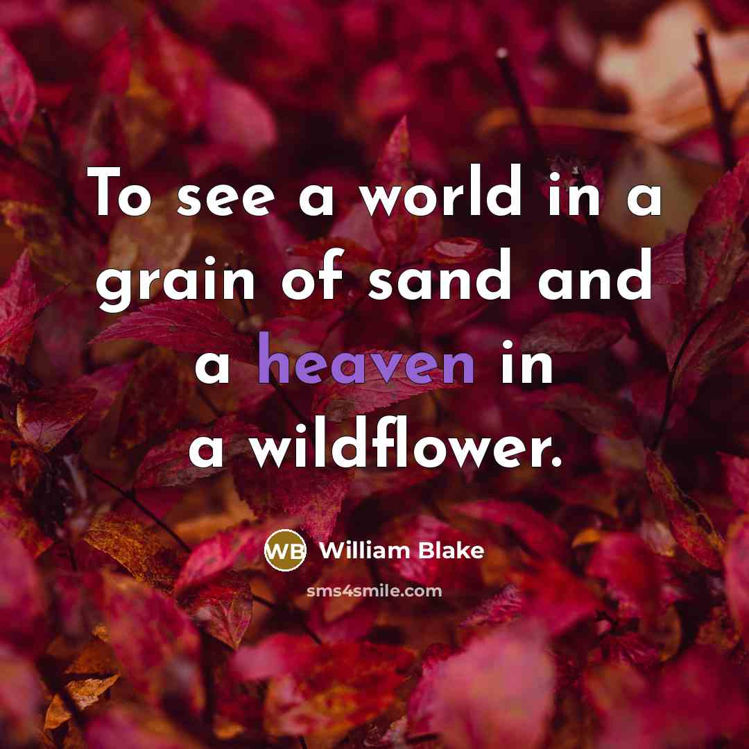 “To see a world in a grain of sand and…” quote by William Blake