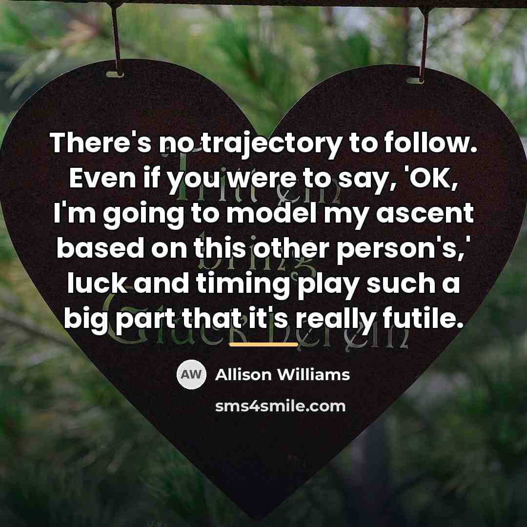 “There's no trajectory to follow. Even if you were to…” quote by Allison Williams