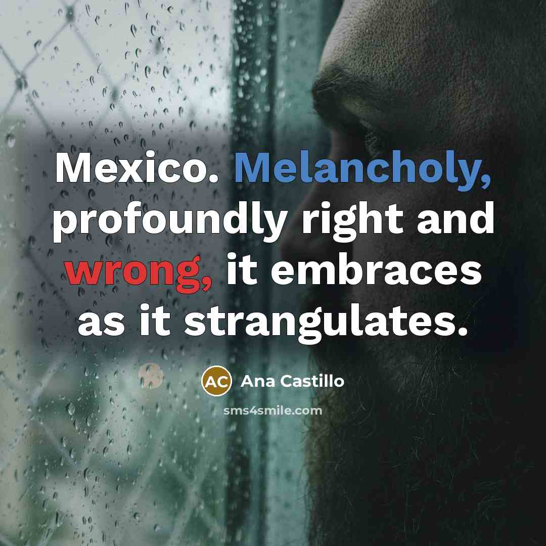 “Mexico. Melancholy, profoundly right and wrong, it embraces as it…” quote by Ana Castillo