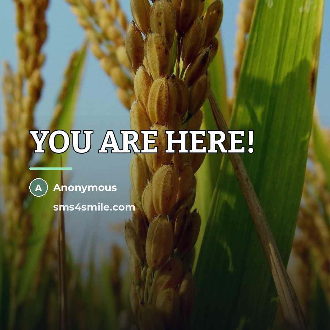 “YOU ARE HERE!…” quote by Anonymous