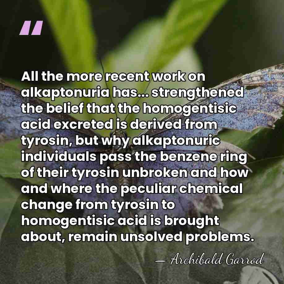 All the more recent work on alkaptonuria has... strengthened the belief that&hellip; - Archibald Garrod