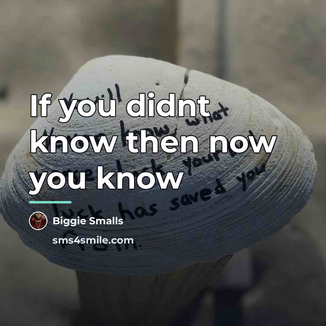 “If you didnt know then now you know…” quote by Biggie Smalls