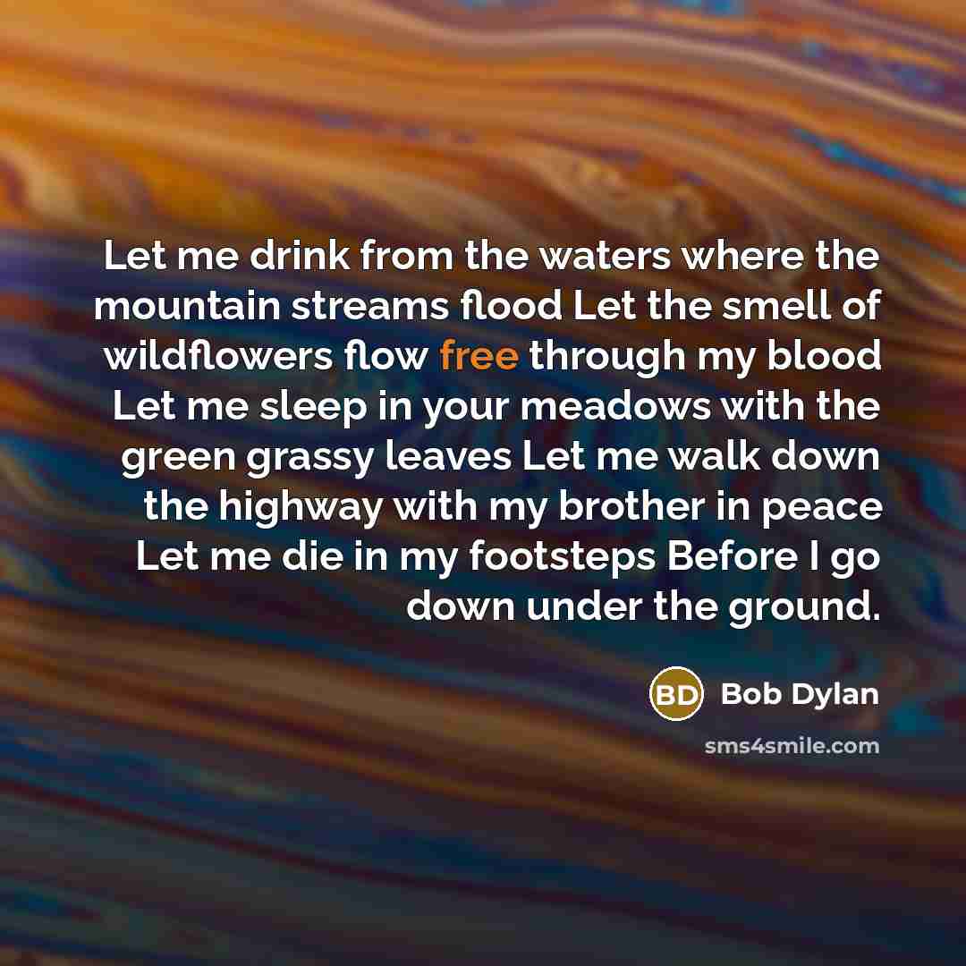 “Let me drink from the waters where the mountain streams…” quote by Bob Dylan