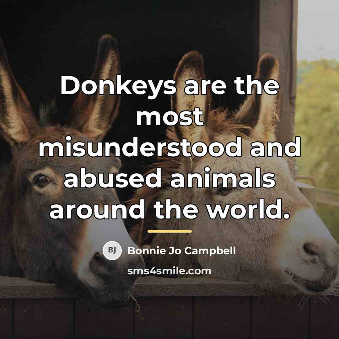 “Donkeys are the most misunderstood and abused animals around the…” quote by Bonnie Jo Campbell