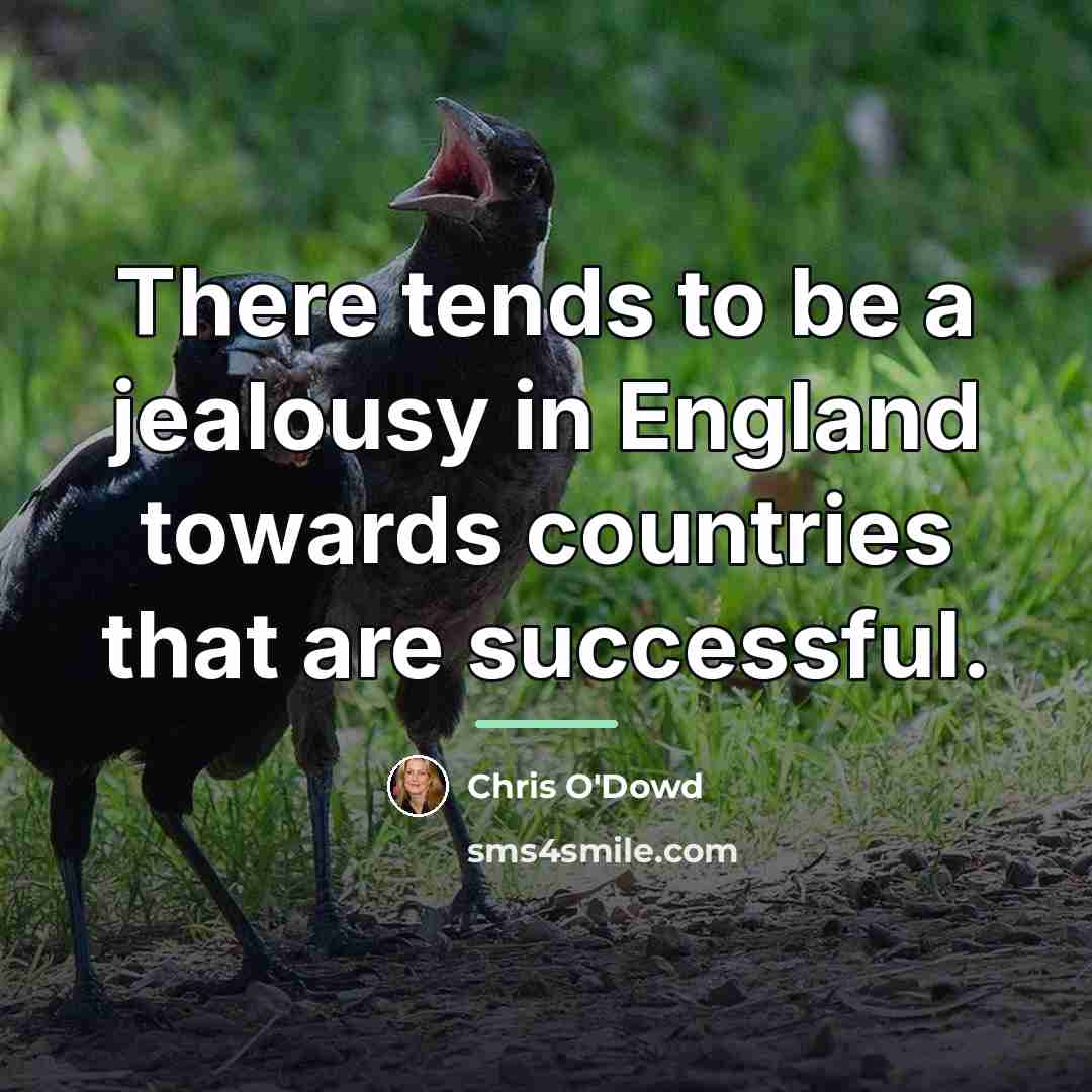 “There tends to be a jealousy in England towards countries…” quote by Chris O'Dowd
