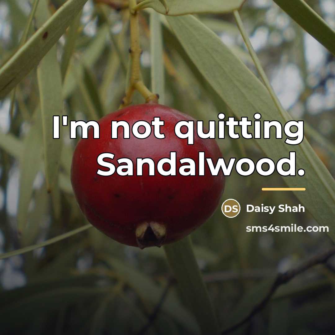 “I'm not quitting Sandalwood.…” quote by Daisy Shah