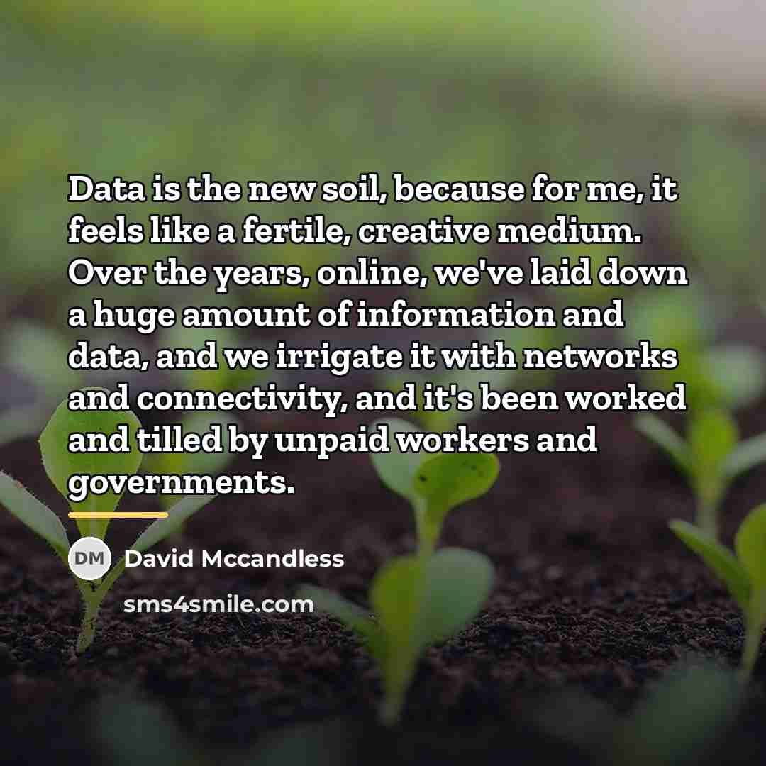 “Data is the new soil, because for me, it feels…” quote by David Mccandless