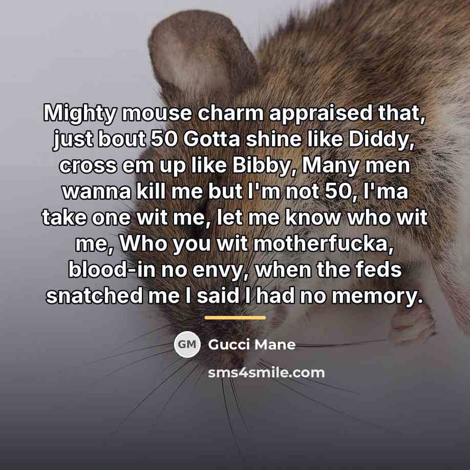 “Mighty mouse charm appraised that, just bout 50 Gotta shine…” quote by Gucci Mane