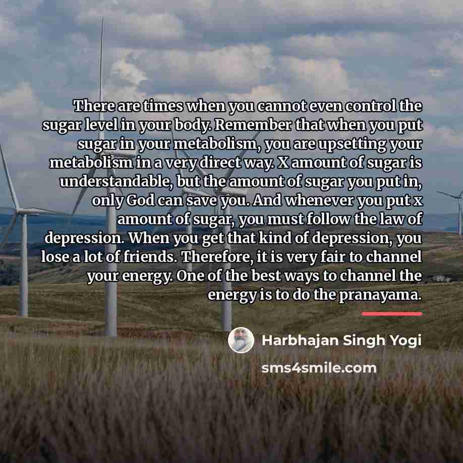 “There are times when you cannot even control the sugar…” quote by Harbhajan Singh Yogi