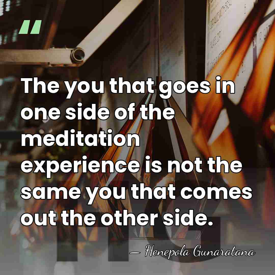 The you that goes in one side of the meditation experience is&hellip; - Henepola Gunaratana